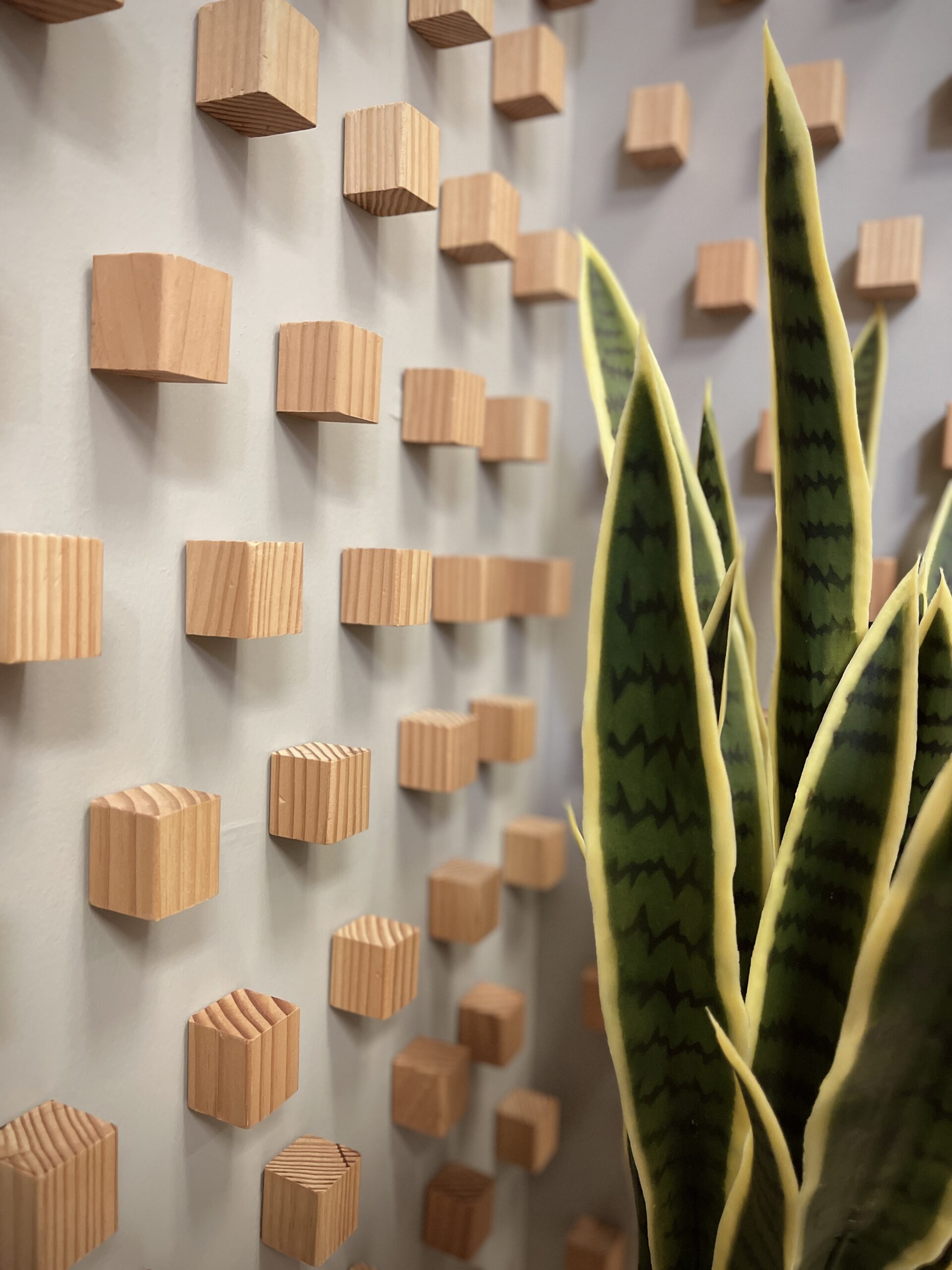 wall accent made of wooden cubes at dermalux