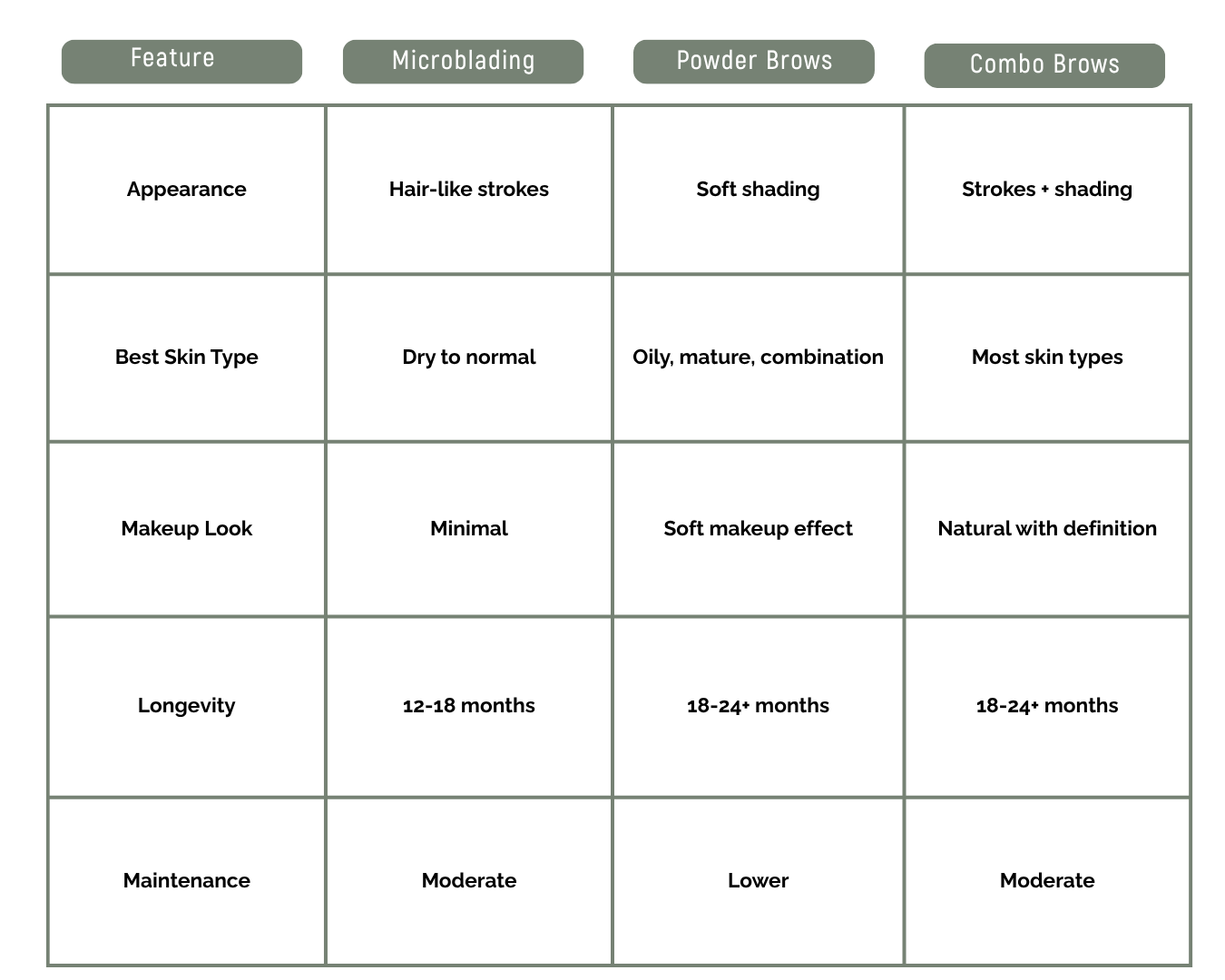 Powder Brows vs Microblading Results Comparison Chart