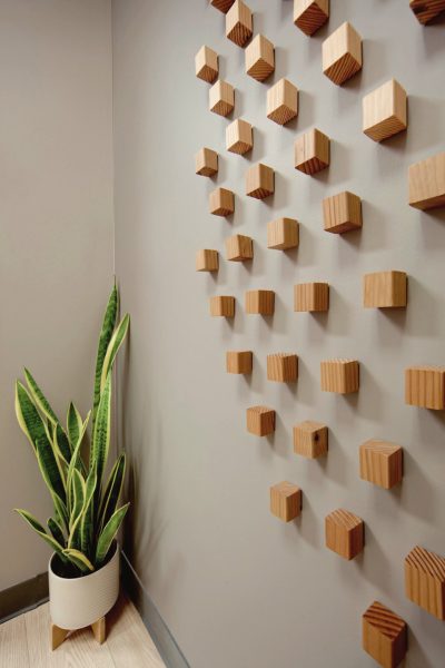 Decorative wall art in wood and eith plants